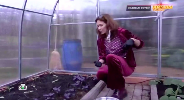 Климова сама занимается садом и огородом 