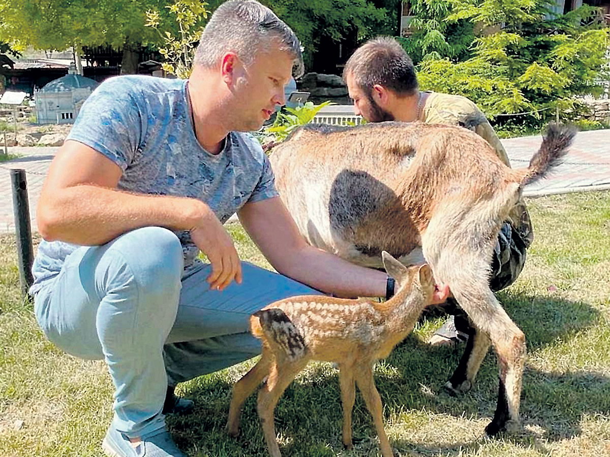 Виктор Жиленко нашел сиротке кормящую маму