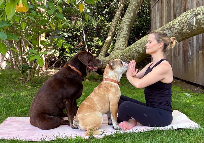 Держать себя в руках Риз помогает медитация