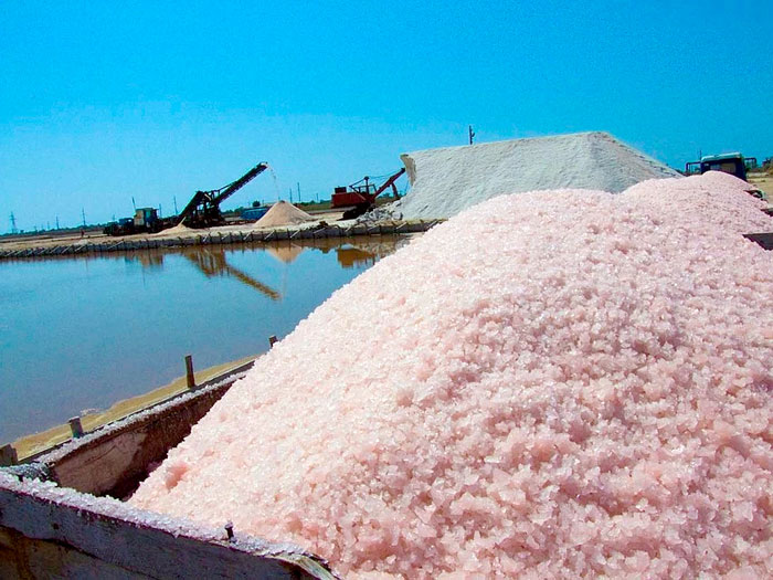 На озере Сасык-Сиваш ежегодно добывают 20 тыс. тонн соли