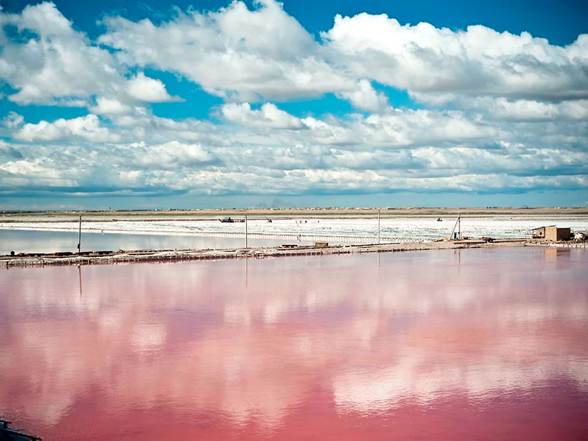 Озеро Сасык-Сиваш рядом с Евпаторией окрасилось в розовый