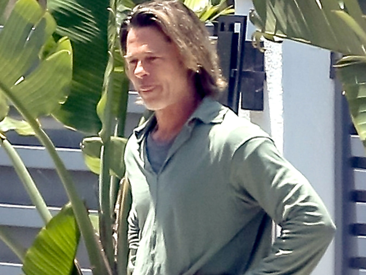 Брэд Питт не устоял перед экзотической внешностью Алии