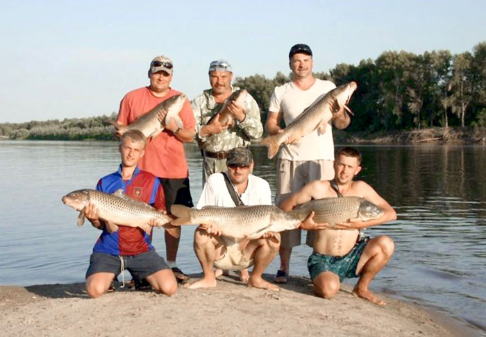 На озере Ильмень такой улов - не редкость