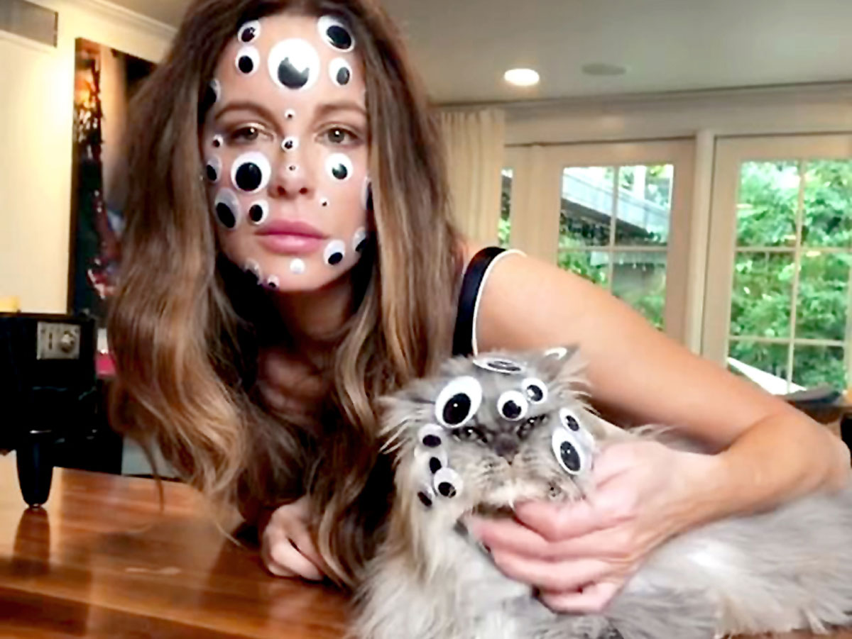 Приходится терпеть: кошек для того и заводят, чтобы те развлекали хозяев