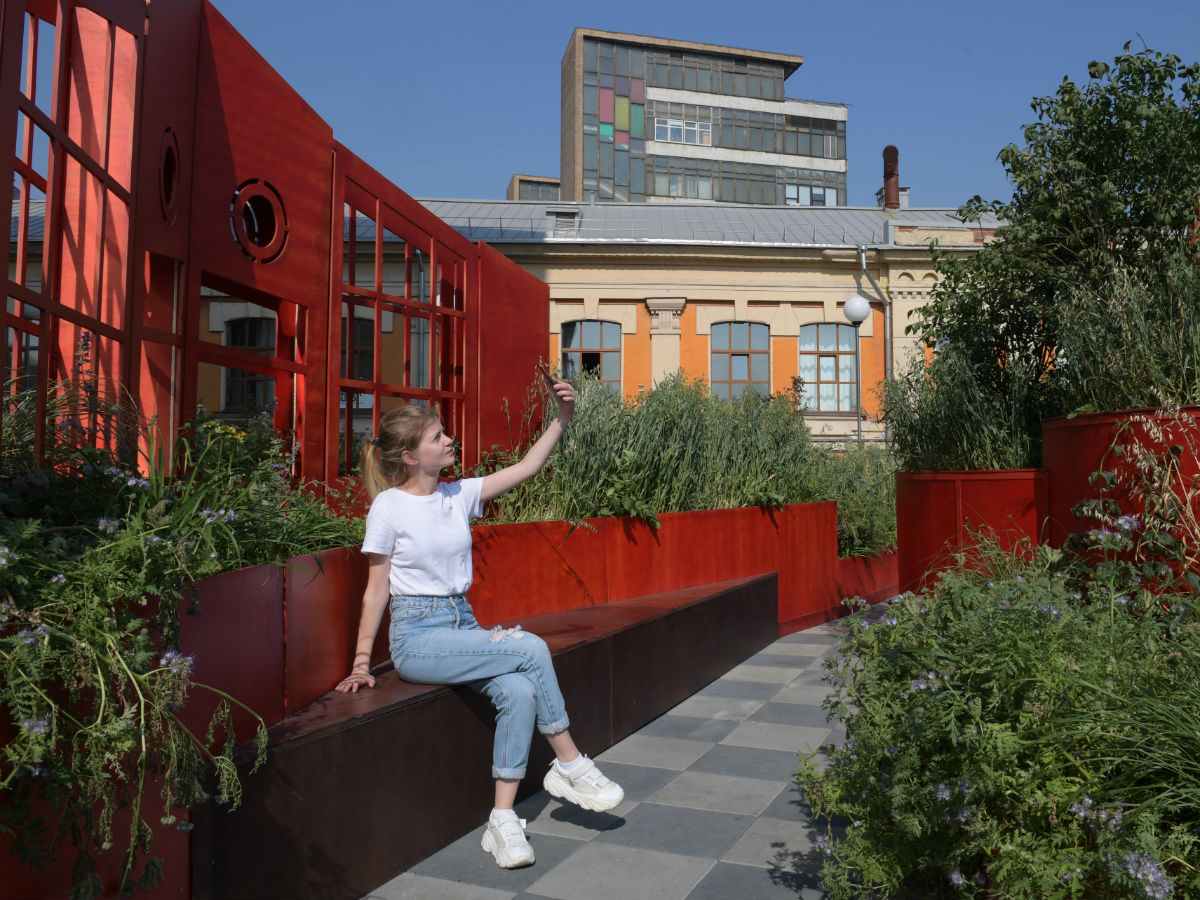 Сколько молодых людей в России не учатся и не работают?