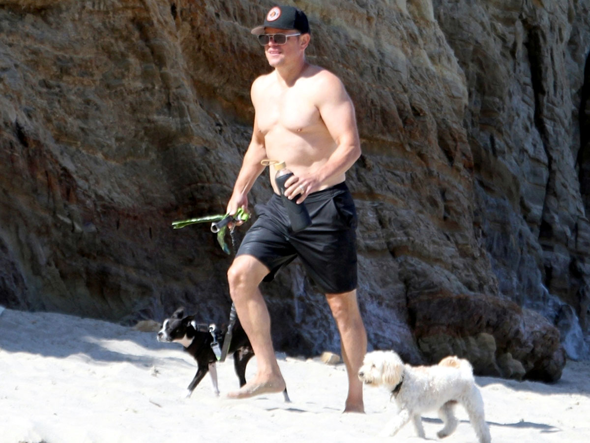 Собаки заставят хозяина больше двигаться, и он сможет быстрее избавиться от излишков