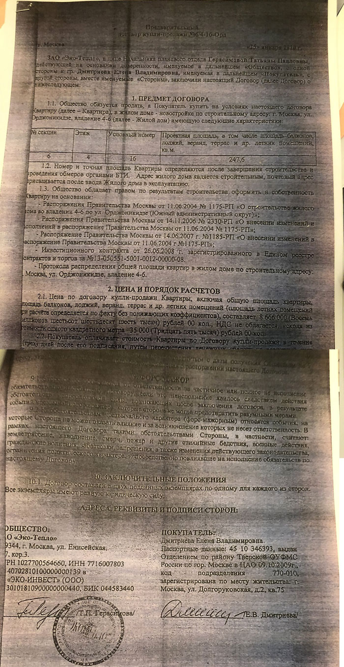 «Предварительный договор» Елены Дмитриевой