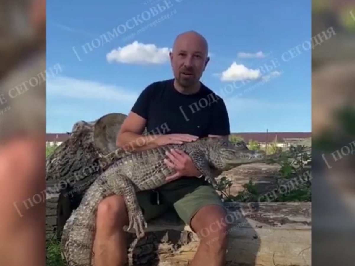 Крокодил в Подмосковье