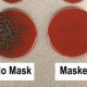 Защищает ли маска от коронавируса?