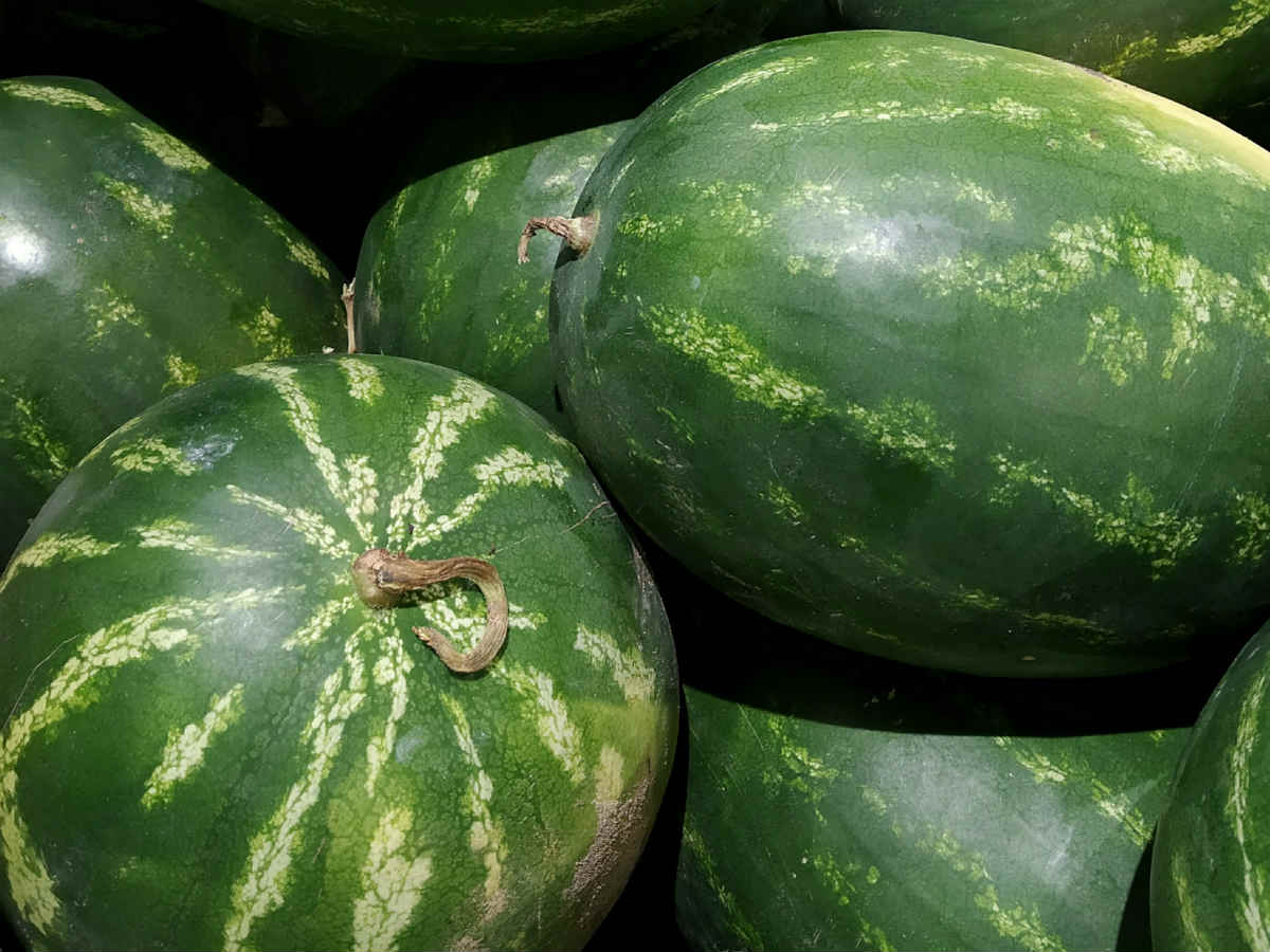 20200704_gaf_rl07_001