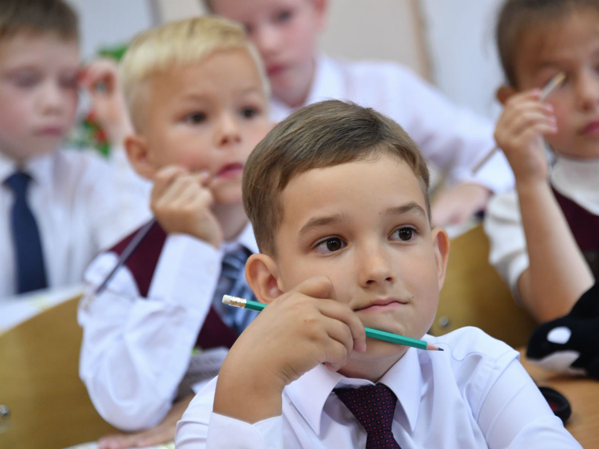 дистанционное обучение