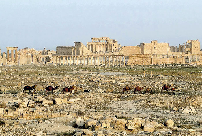 Так выглядела разрушенная Пальмира (сцена из фильма «Клятва»)