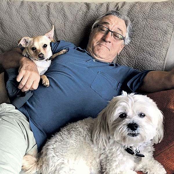 Роберт Де Ниро