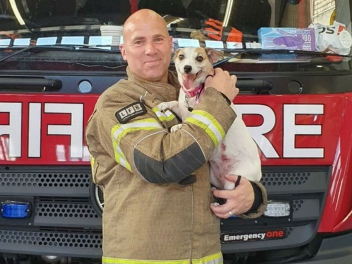 Пожарный спас собаку и забрал ее себе