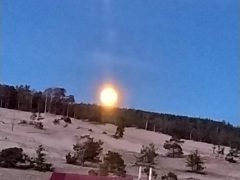 Жителей Песчаной попросили освободить дома, в которых они прожили много лет. Фото Татьяны Вокиной