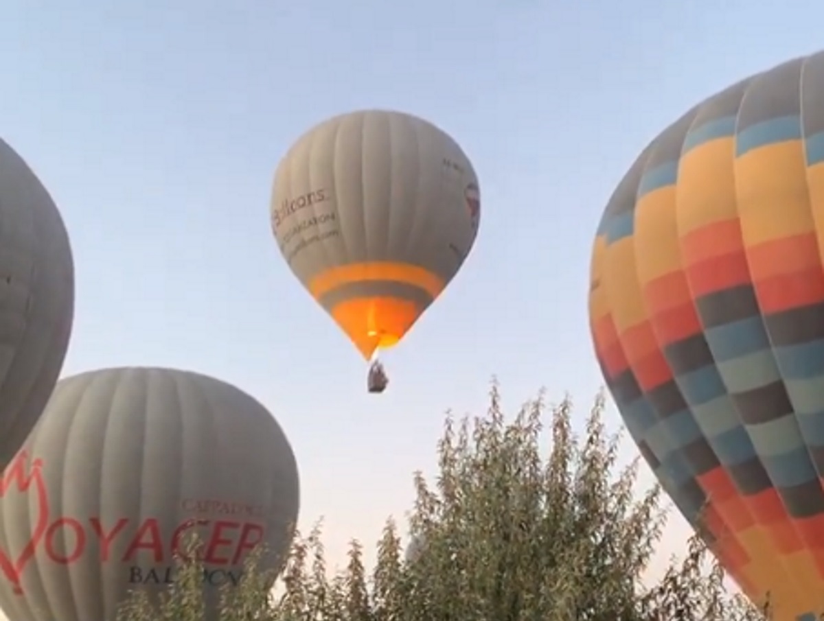 Виторган и Нинидзе Турции