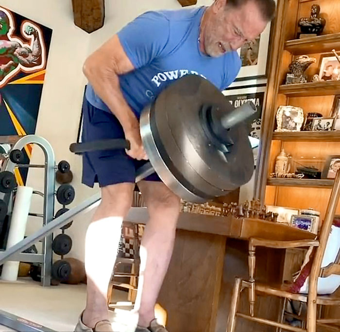 Действительно Железный Арни