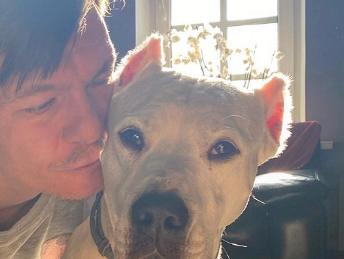 Филипп Янковский