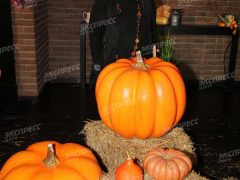 ЕКАТЕРИНА ОБРАЗЦОВА