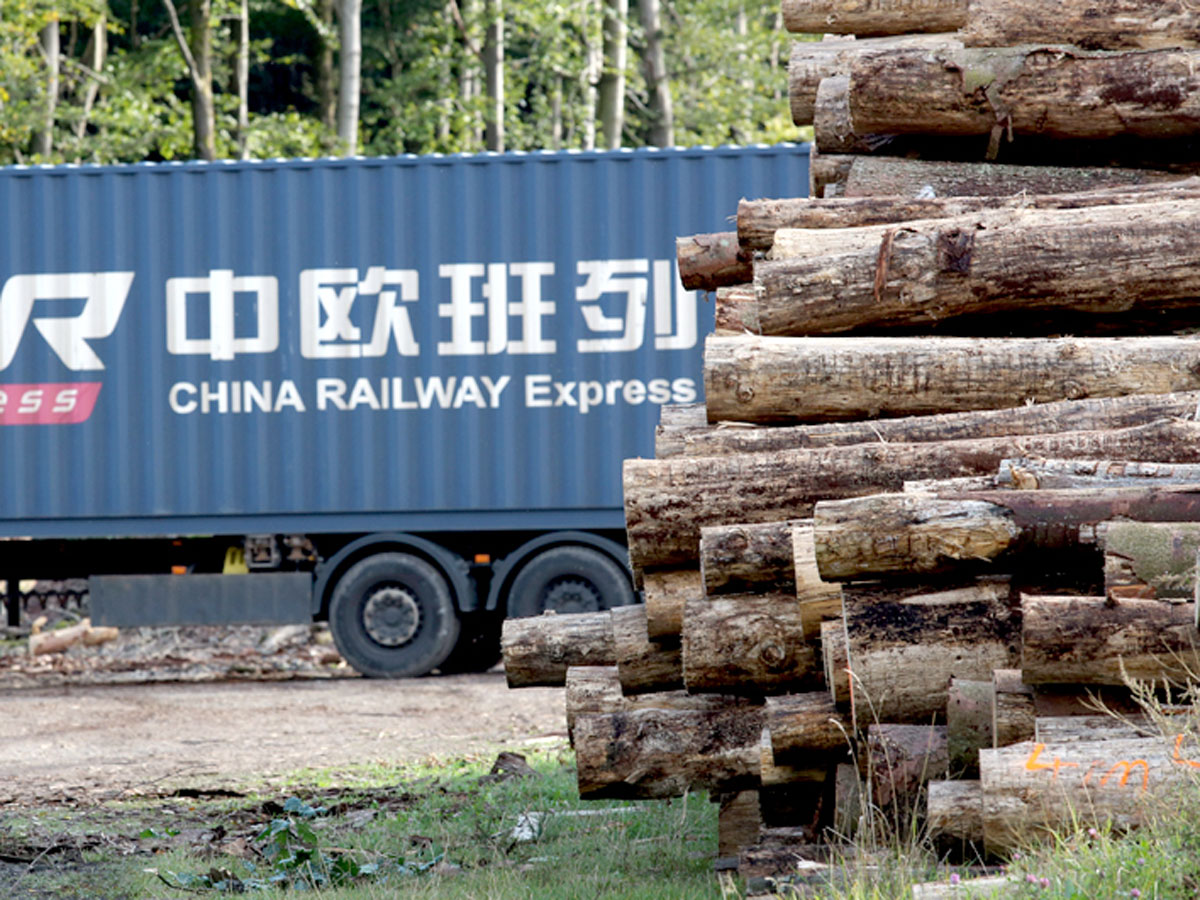 Запрет на вывоз бревен привел к падению акций финских и китайских гигантов деревообработки
