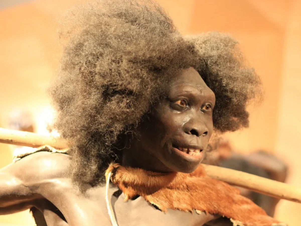 Неандерталец