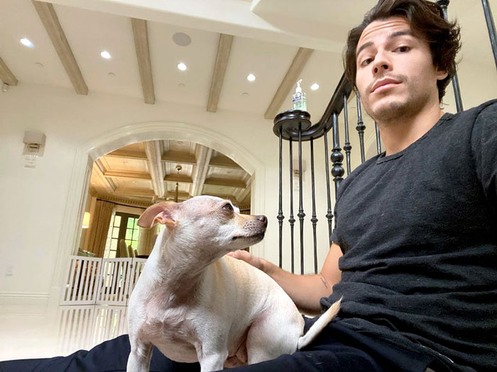 Вряд ли такой пес защитит Маноло от рэкетира