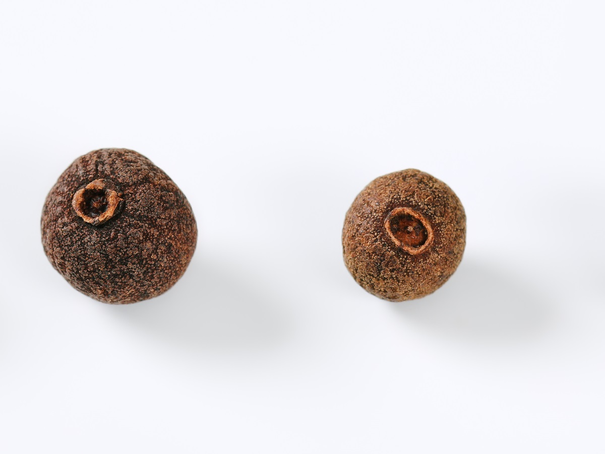 Малышева назвала специю против коронавируса