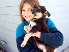 Пока щенок заменяет Бонни ребенка. Фото: Instagram**.com