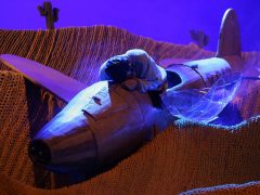 СЦЕНЫ ИЗ СПЕКТАКЛЯ «МАЛЕНЬКИЙ ПРИНЦ»