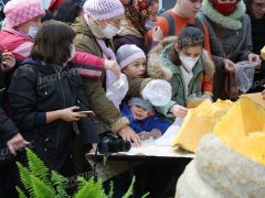 В Москве вскрыли самую гигантскую тыкву России