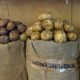 Врач-эндокринолог рассказала о вреде и пользе картофеля