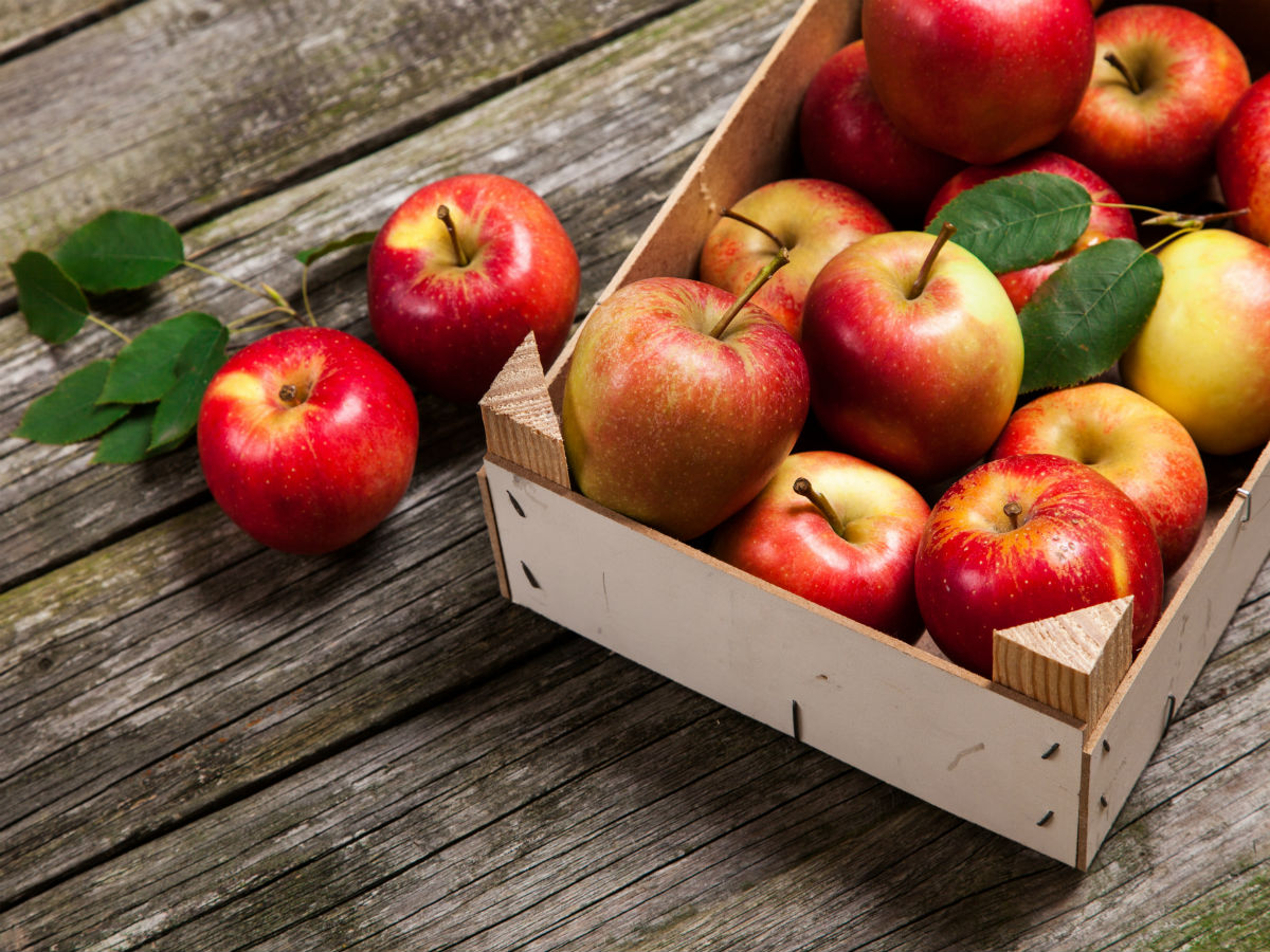 Яблоки способствуют снижению веса