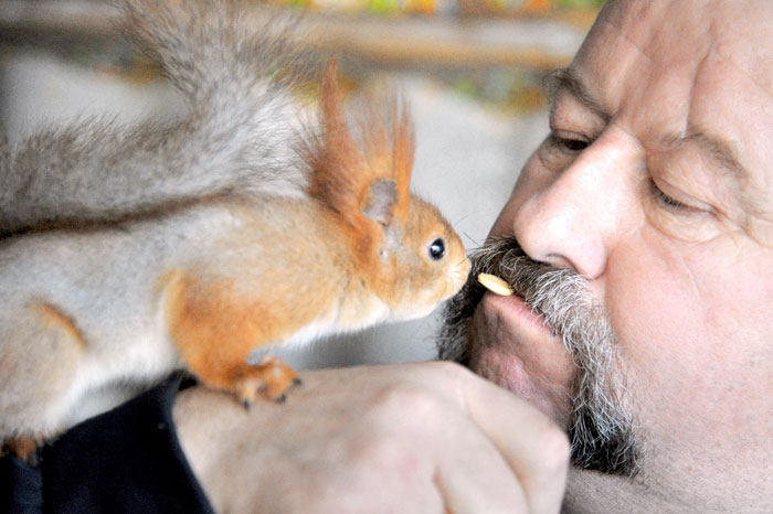 Хозяин кормит питомцев тыквенными семечками и лесными орехами