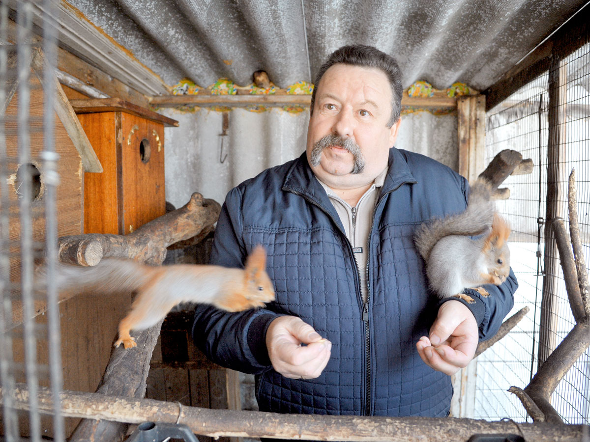 Хозяин кормит питомцев тыквенными семечками и лесными орехами