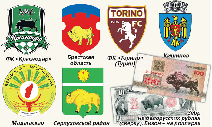 Бык и его сородичи на национальных гербах и других геральдических знаках