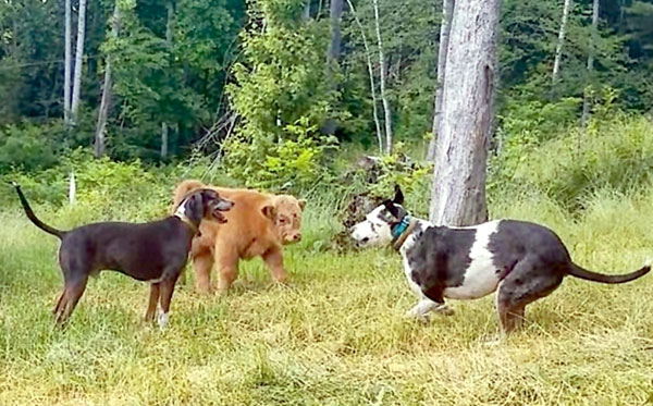 Джеймс в компании корешей