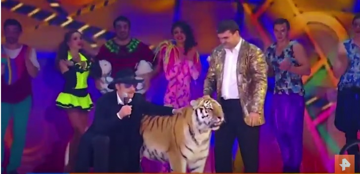 Михаил Боярский спел с живым тигром