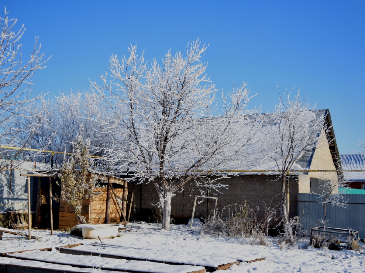 Россиянин заживо похоронил отца