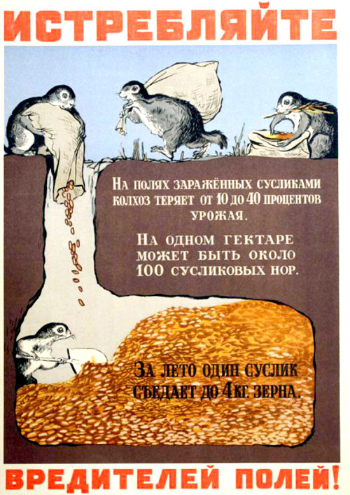 В советское время поощряли уничтожение грызунов (плакат 1930-х годов)