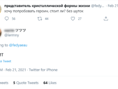 Девушка вела дневник в «Твиттере»