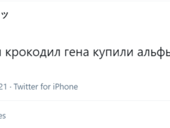 Девушка вела дневник в «Твиттере»