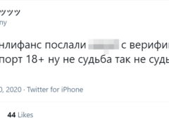 Девушка вела дневник в «Твиттере»