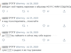 Девушка вела дневник в «Твиттере»