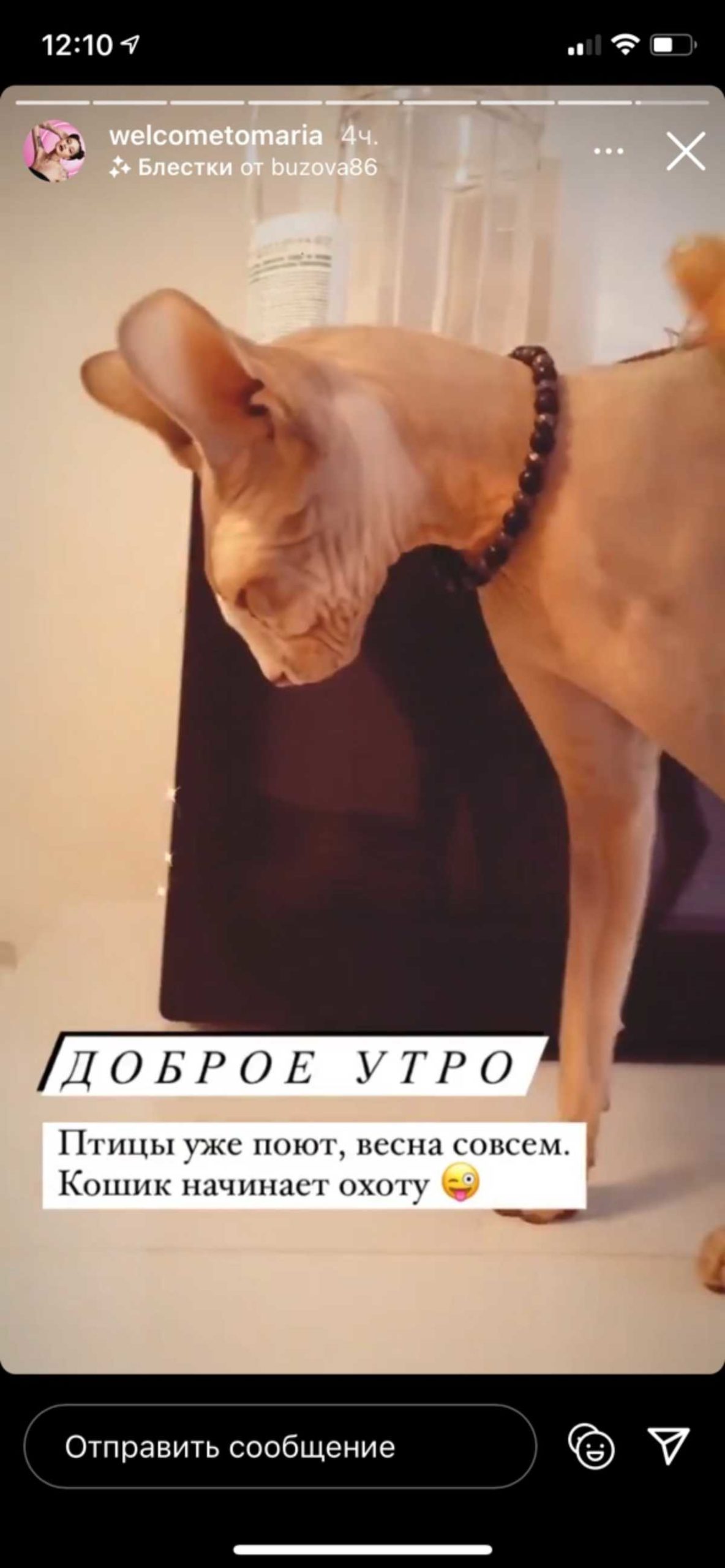 Девочка Показала Пизду Фото Девочка Показала Пизду Фото