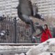 В России ожидаются заморозки и мокрый снег
