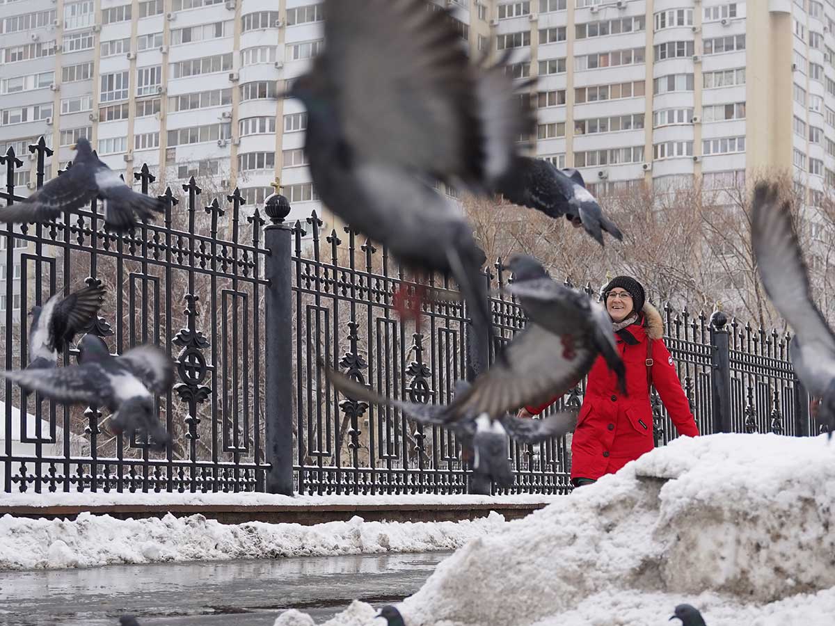 В России ожидаются заморозки и мокрый снег