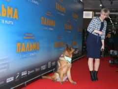 Звезды посетили премьеру Домогарова-младшего «Пальма»