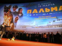 Звезды посетили премьеру Домогарова-младшего «Пальма»