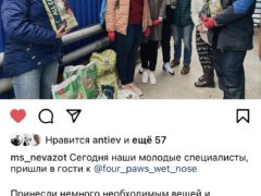 приют для животных