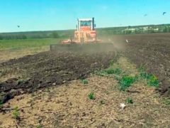 Фермер на своем поле, Новоазовский район